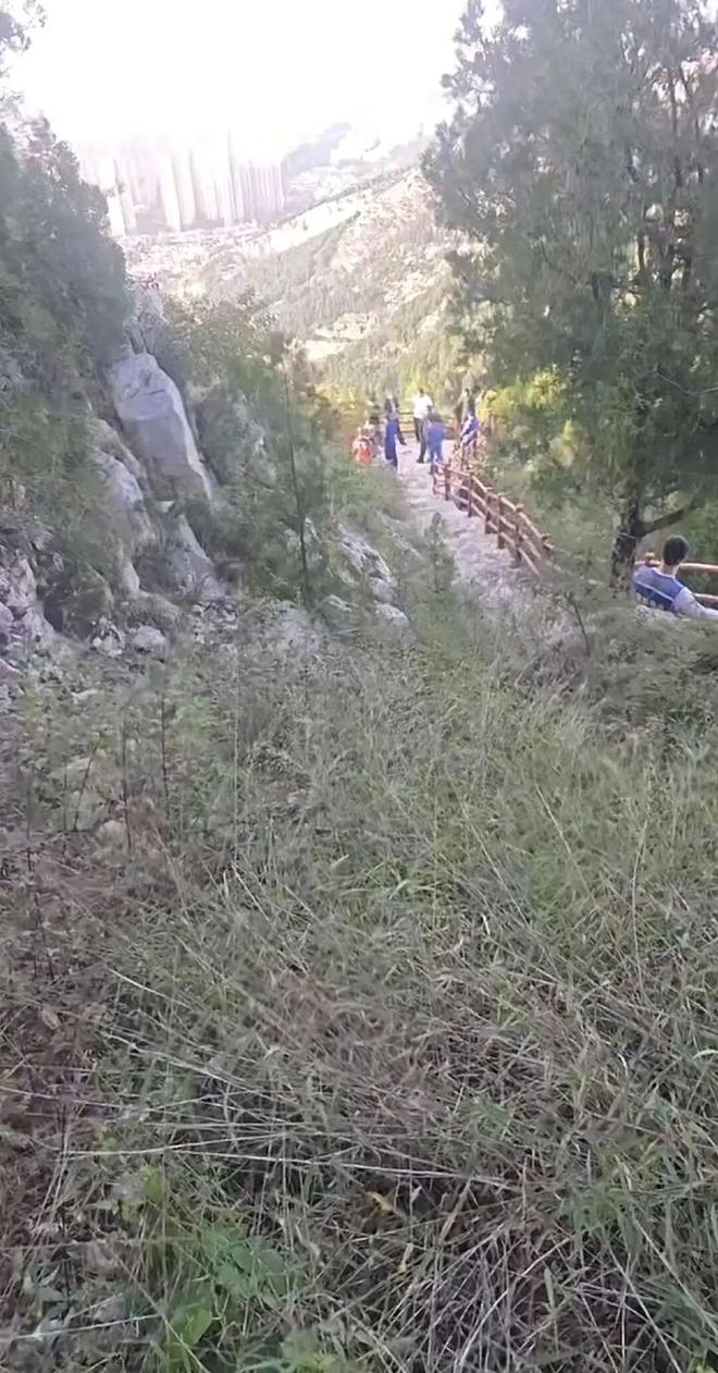 29岁！遗体在离家2公里处被发现瓦力游戏试玩苏某某已确认身亡年仅(图2)